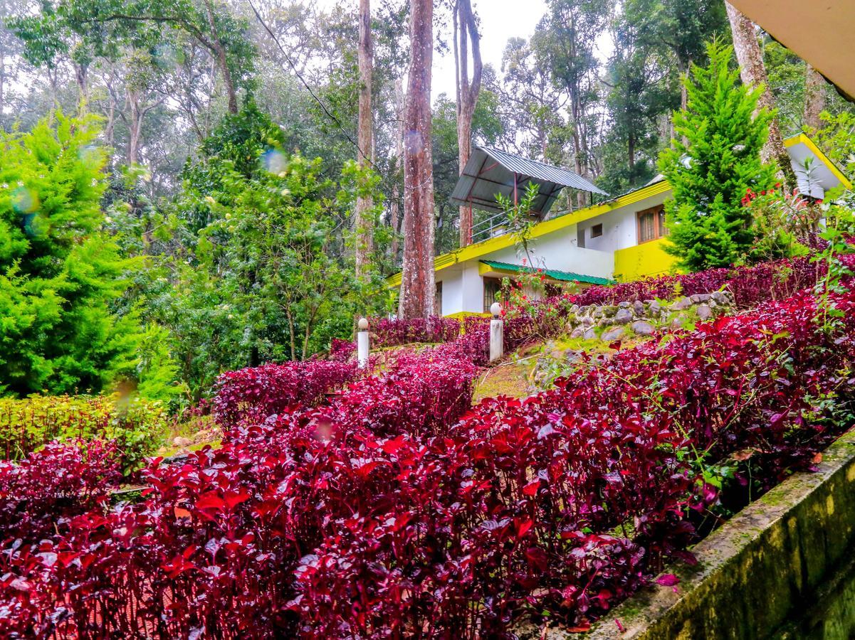 Oyo 4651 Woodpecker Resort Munnar Exteriér fotografie